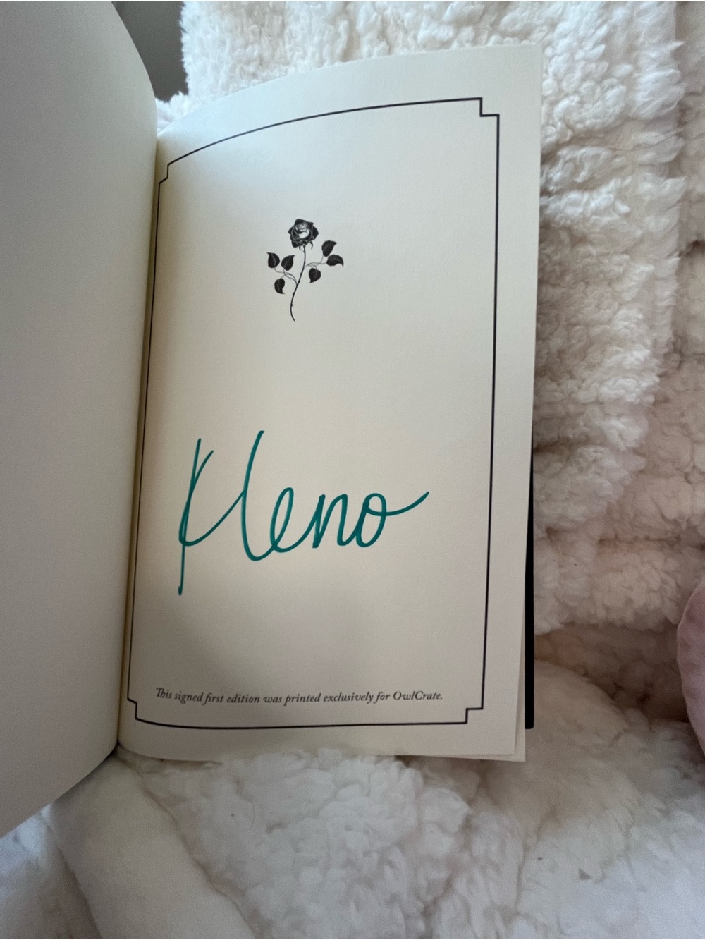 Horrid by Katrina Leno - Owl Crate Signed Hardcover - Picture 2 of 2